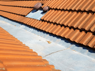 About Leaking Skylight Repair Pros Saint Augustine, IL